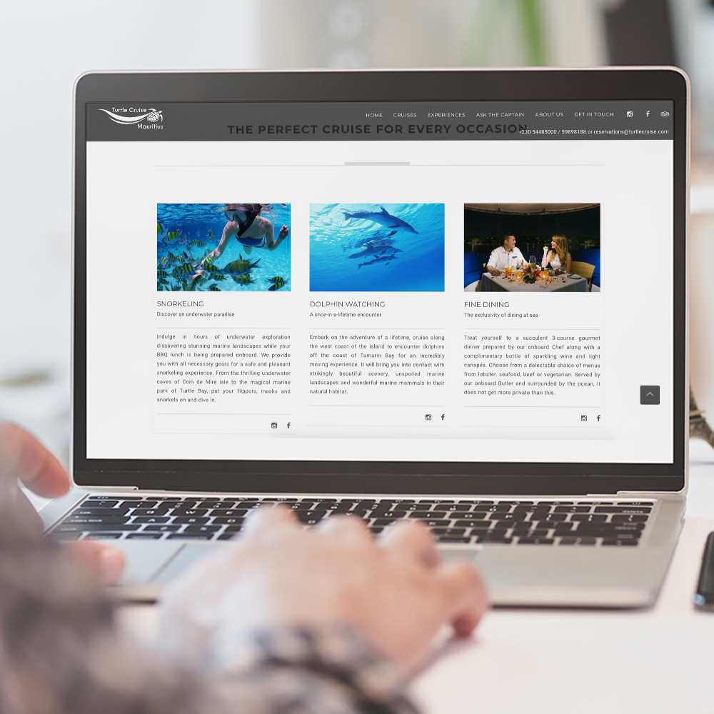 Turtle Cruise Gallery